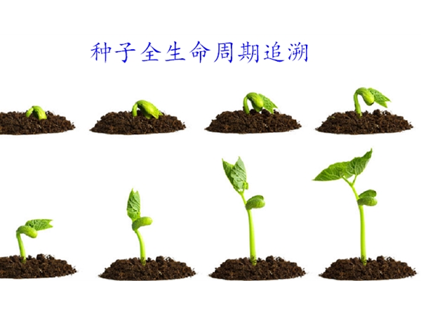 種子二維碼追溯系統